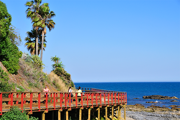 Senda-Litoral